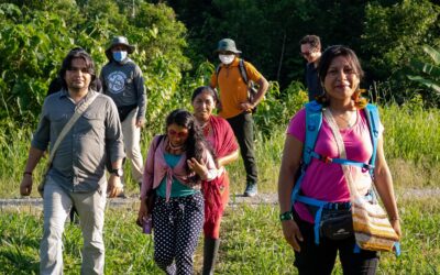 Organizaciones y gobierno noruego generan alianzas para revertir la deforestación en la Amazonía ecuatoriana.